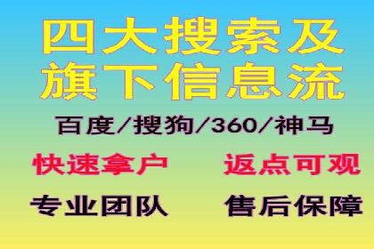 知名SEM服务公司成功案例分享